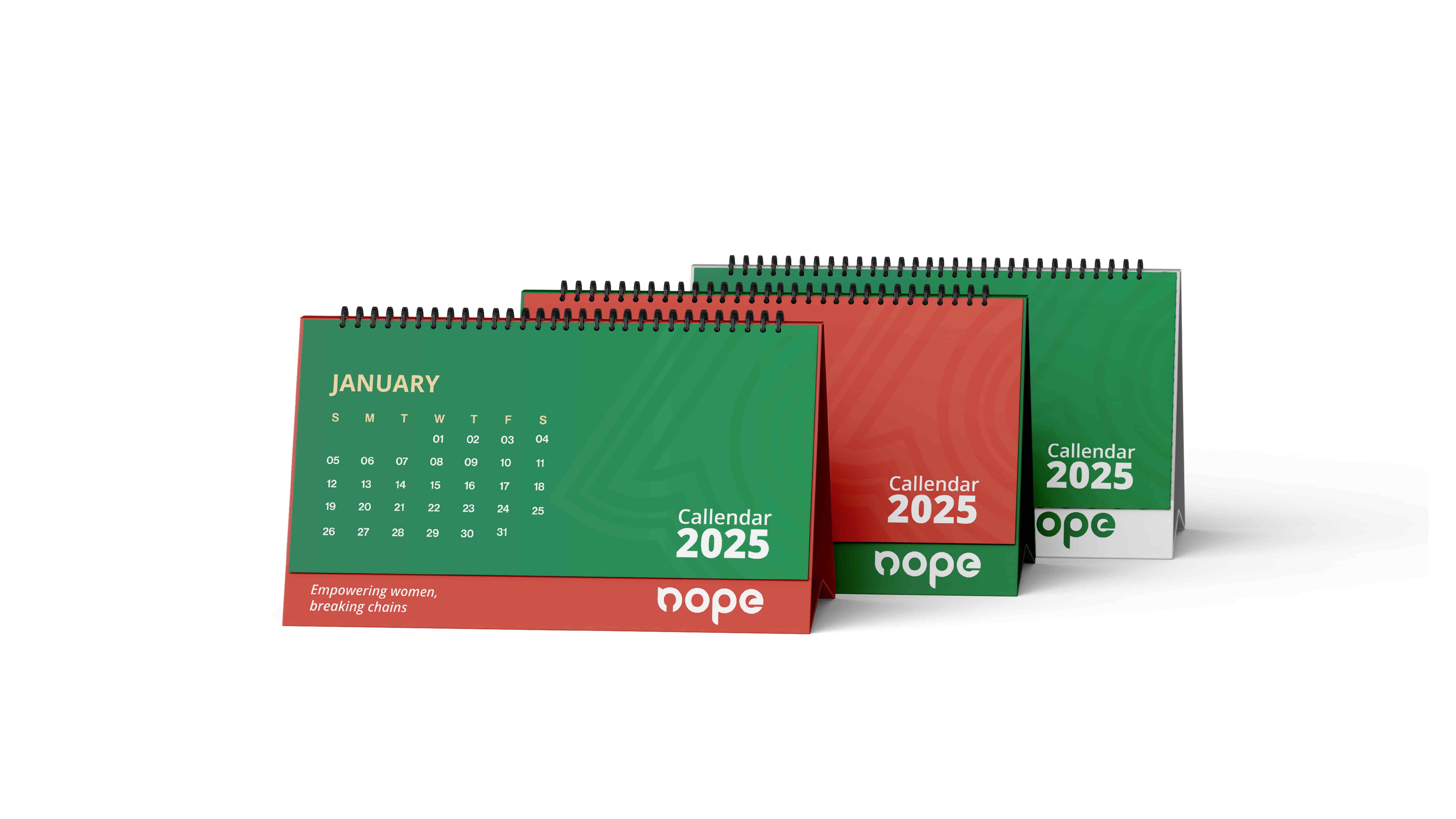 Campaign Rollout and Social Media Toolkit